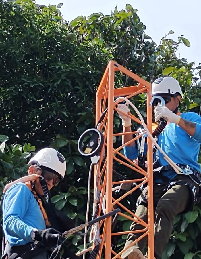 HM TREINAMENTOS em NR-05, NR-06, NR-10, NR-11, NR-12, NR-13, NR-18, NR-20, NR-23, NR-33, NR-35 (37)